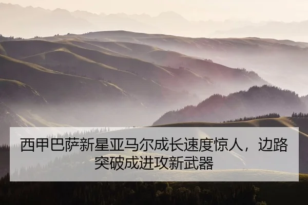 xi-jia-ba-sa-xin-xing-ya-ma-er-cheng-zhang-su-du-jing-ren-bian-lu-tu-po-cheng-jin-gong-xin-wu-qi-2-290.jpg
