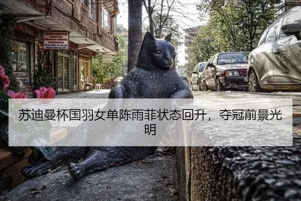 苏迪曼杯国羽女单陈雨菲状态回升，夺冠前景光明