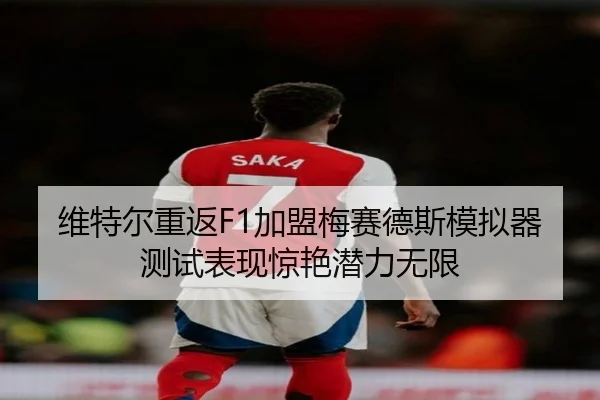 wei-te-er-chong-fan-jia-meng-mei-sai-de-si-mo-ni-qi-ce-shi-biao-xian-jing-yan-qian-li-wu-xian-2-304.jpg